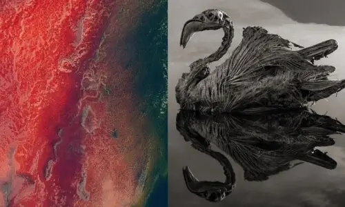 دنیا کی انوکھی جھیل جسے چھونے والا پتھر کا بن جاتا ہے