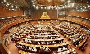 Senate panel clears PECA amendments as data theft, fake passport use spark alarm