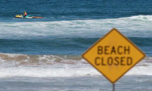 Australian boy dies after shark attack in Sydney Harbour