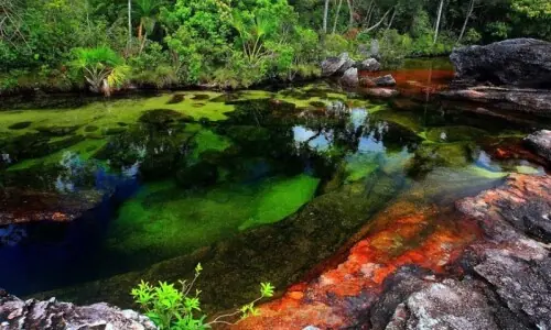 زمین پر بہتی جنت: وہ دریا جس میں ہر سال پانچ رنگ بہتے ہیں