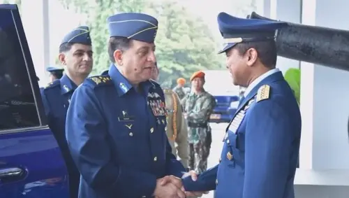Air chief meets Indonesian president, stresses stronger defence cooperation