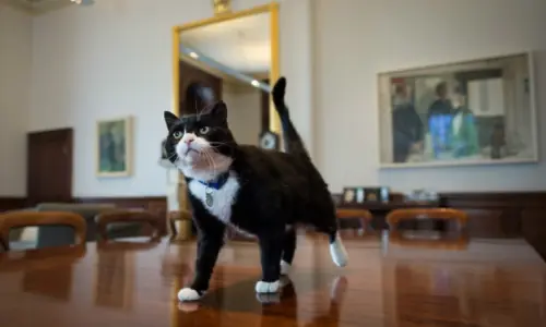 UK &lsquo;diplocat&rsquo; Palmerston dies in Bermuda after storied public life