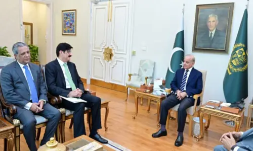 PM Shehbaz assures full support for Sindh projects