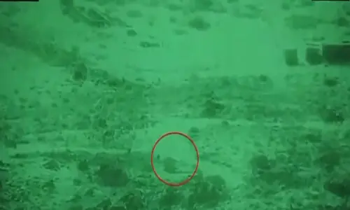 58 Afghan Taliban fighters killed in swift border response