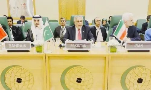 Ishaq Dar calls for immediate action against Israeli annexation plans at OIC meeting