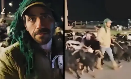 &rsquo;جنگ ٹلتی رہے تو بہتر ہے&lsquo;: ایک لبنانی چرواہے کی روداد جو دو دن سے پیدل چل رہا ہے