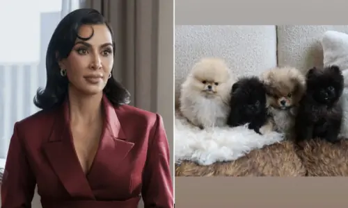 Kim Kardashian faces backlash again after introducing new puppies
