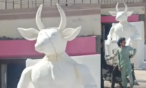 کراچی میں شیطان کے مجسمے کا معمہ حل، پولیس نے حقیقت بتا دی