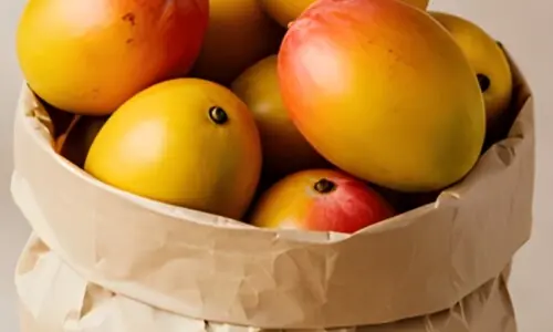 آم فریج میں رکھتے ہیں؟ جانیے پھلوں کے بادشاہ کو کاغذ میں محفوظ رکھنے کی سائنسی وجوہات