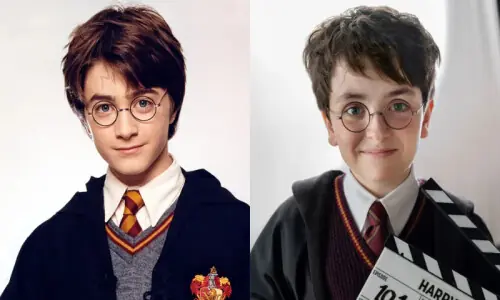 &lsquo;Finding Harry&rsquo; special lifts the curtain on new wizarding world reboot