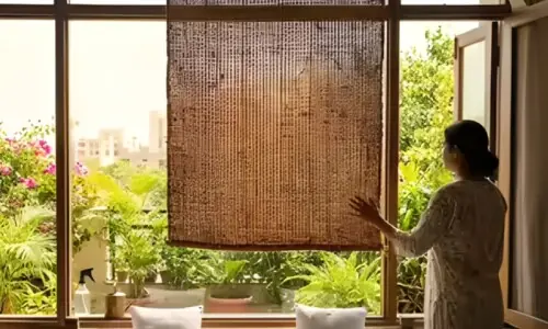 گرمی سے نجات کا قدرتی حل، خس کے پردے دوبارہ مقبول