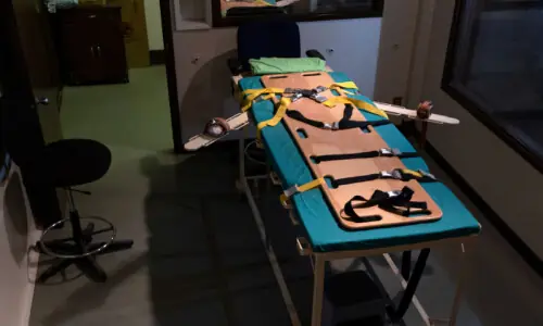 US eyes firing squads, electrocution, gas for federal executions