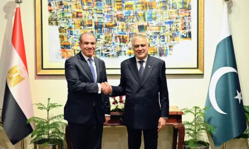 Dar holds talks with Egyptian FM over Middle East situation