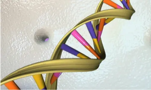DNA research reshapes story of human origins
