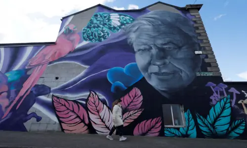 David Attenborough centenary celebrations start with closer look at 'Life on Earth'