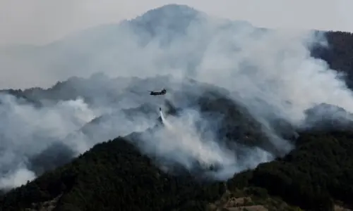 Global fire outbreaks hit record high as 'unprecedented' heat extremes loom, scientists say