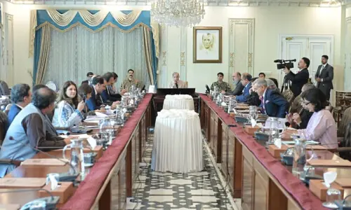 PM Shehbaz orders easier bank loans for SMEs, women entrepreneurs
