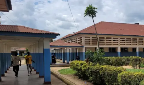 The Bundibugyo strain of the Ebola virus: What do we know?