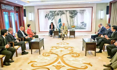 PM Shehbaz meets Chinese corporate leaders to boost investment cooperation