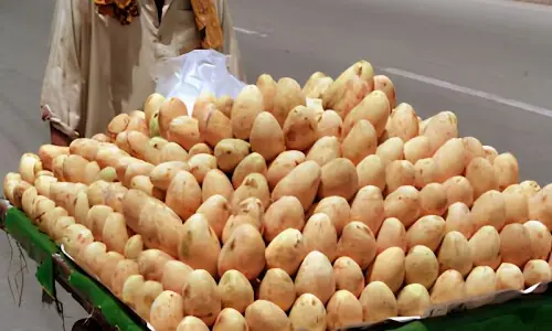 کیمیکل سے پکے آموں کی مارکیٹ میں بھرمار، اصلی اور نقلی آم کی پہچان کے تین آسان طریقے