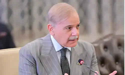 PM Shehbaz tells NEC: Stability achieved, growth now the priority
