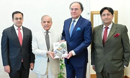 رواں سال حکومت کی معاشی کارکردگی کیسی رہی؟ اقتصادی سروے جاری