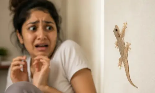 کچھ لوگوں کو چھپکلیوں سے ڈر کیوں لگتا ہے؟