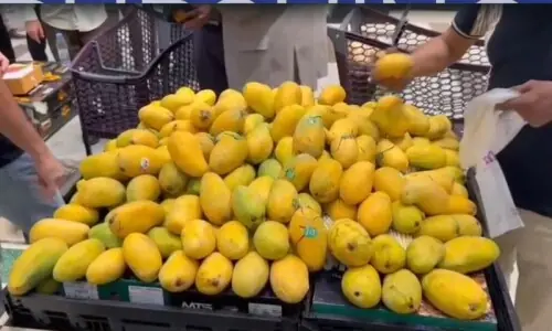 سعودی عرب کے دارالحکومت ریاض میں مینگو فیسٹیول کا انعقاد