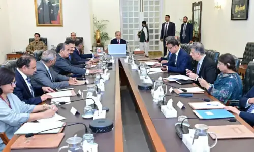 Shehbaz orders roadmap for private equity fund to boost investment