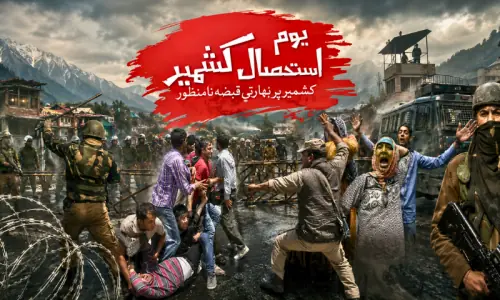مقبوضہ کشمیر کی خصوصی حیثیت کے خاتمے کے 7 سال: 'کشمیری خود کو تنہا نہ سمجھیں'