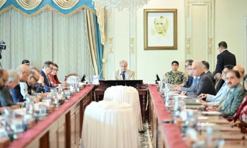 PM directs steps to attract global investors for DISCOs privatisation