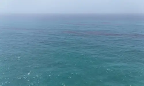 Oil from tanker grounded off Oman has started reaching mainland, UN agency says