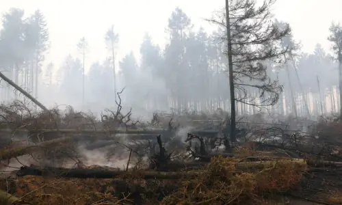 Belgium's biggest wildfire on record heads towards Germany