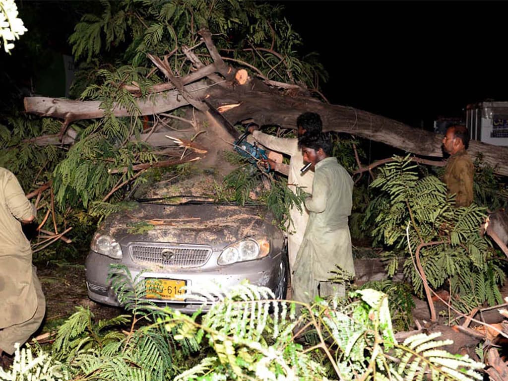 اسلام آباد میں طوفانی بارش، درخت گرنے سے کئی گاڑیوں کو نقصان
