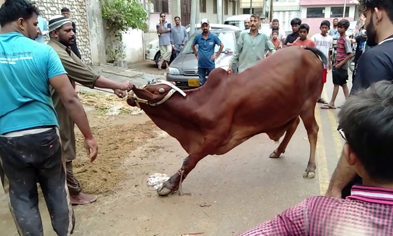 عیدالاضحیٰ پر کتنی چھٹیاں ہونگی؟ حکومت کا اہم فیصلہ