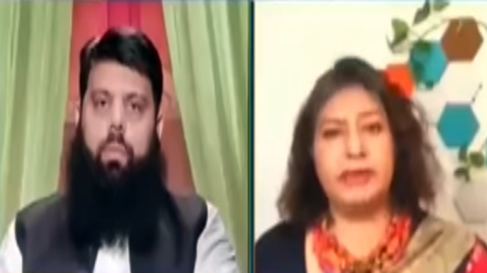 ماروی سرمد ٹی وی پروگرام میں علامہ ہشام الٰہی ظہیر سے بھی اُلجھ پڑیں