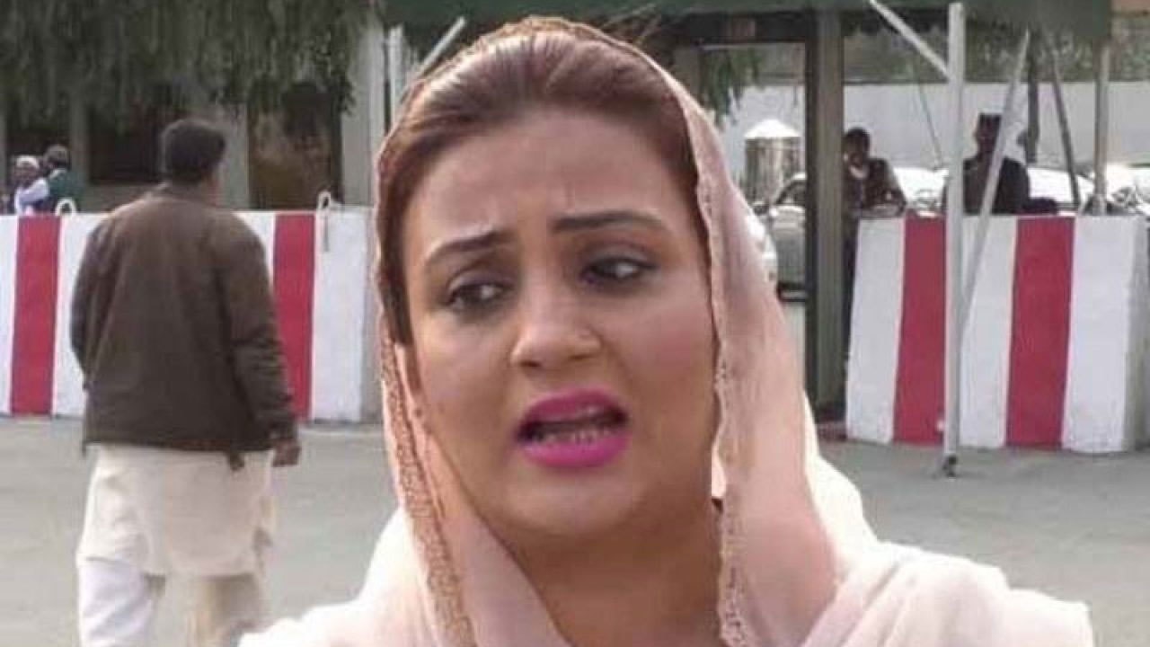 حکومت مافیاز کے ذریعے بنی ، عظمی بخاری