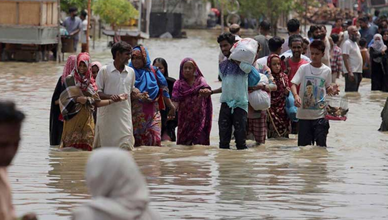 سندھ کے بیس اضلاع آفت زدہ قرار