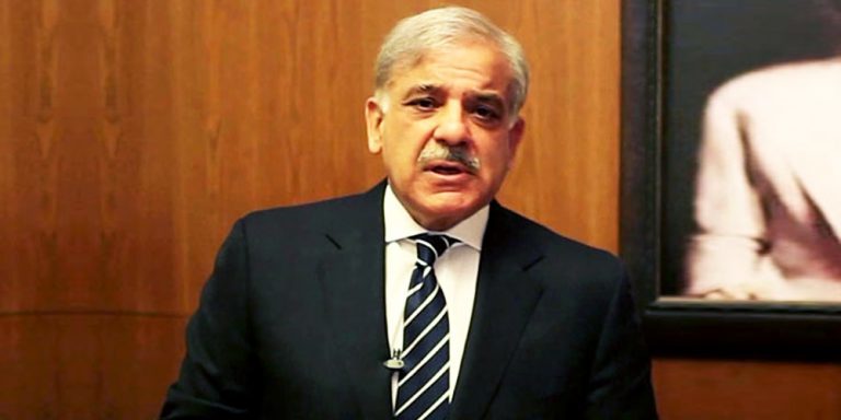'امام حسینّ کی شہادت حق اورباطل کافرق واضح کرنےکےلئےتھی'