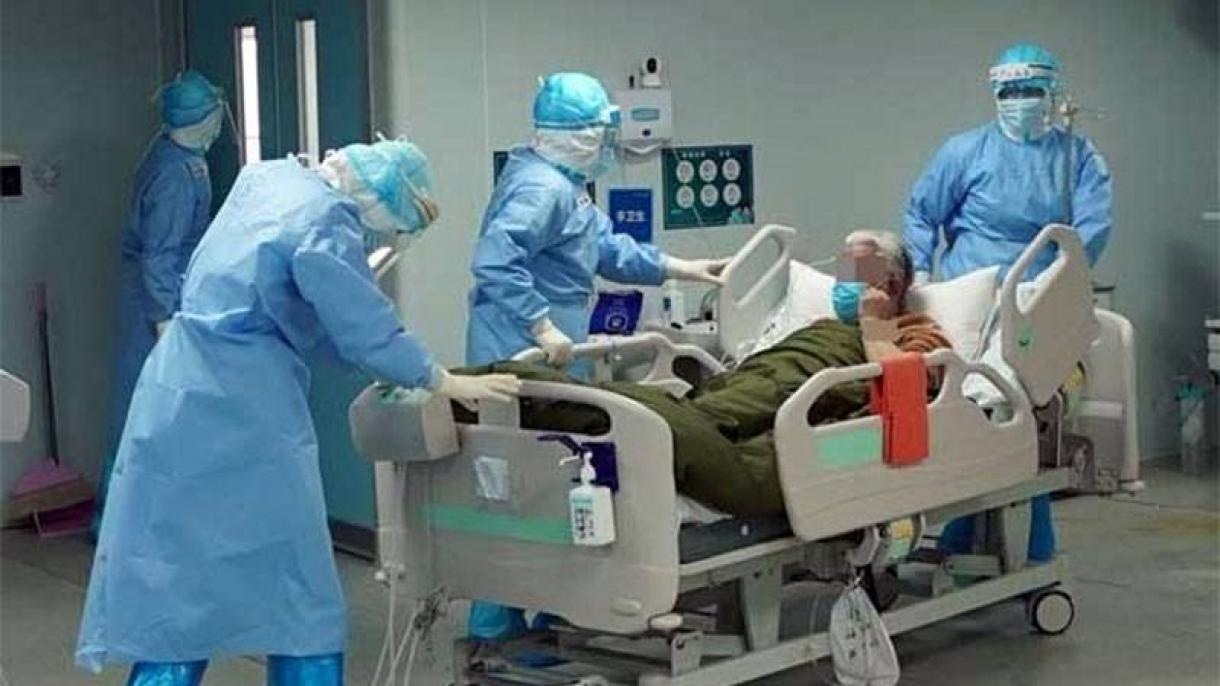 پاکستان میں کورونا وائرس سے مزید 6 ہلاکتیں، 213 نئے کیسز رپورٹ