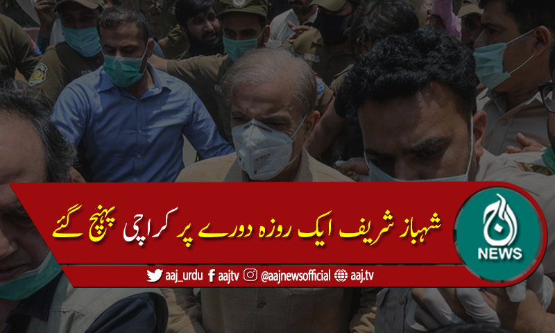 اپوزیشن لیڈر شہباز شریف ایک روزہ دورے پر کراچی پہنچ گئے