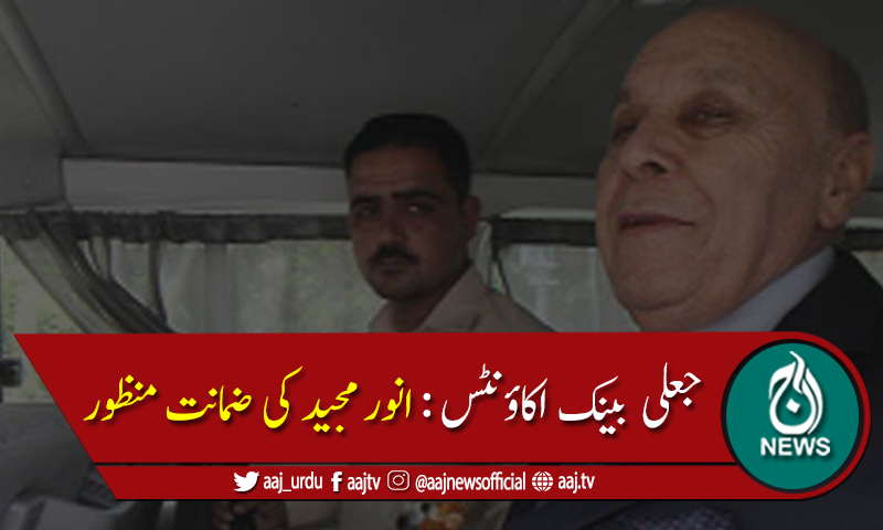 جعلی بینک اکاؤنٹس کے مرکزی ملزم انور مجید کی ضمانت منظور