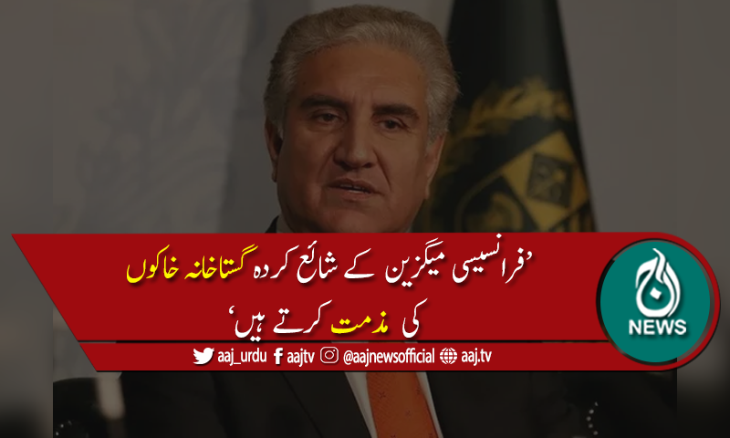 گستاخانہ خاکوں کی وجہ سےمسلمانوں کے جذبات مجروح ہوئے، وزیرخارجہ