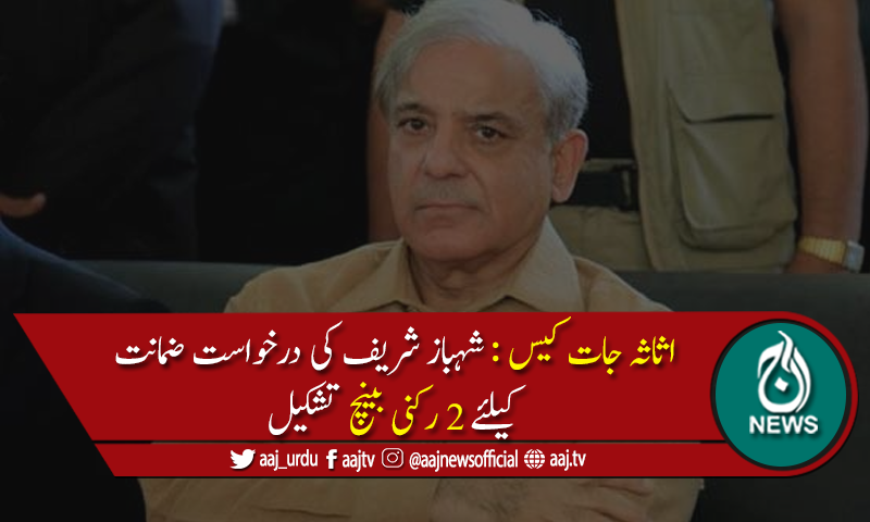 شہبازشریف کی درخواست ضمانت کیلئےلاہور ہائیکورٹ کا2رکنی بینچ تشکیل