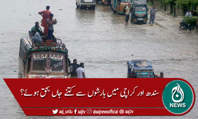 سندھ میں بارش سے 101 اموات ہونے کا انکشاف