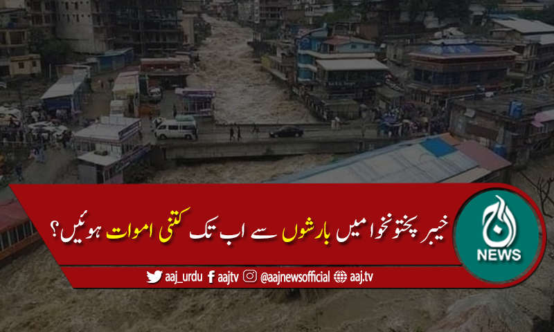 خیبرپختونخوا میں بارشوں نے تباہی مچا دی،اب تک 48 افرادجاں بحق