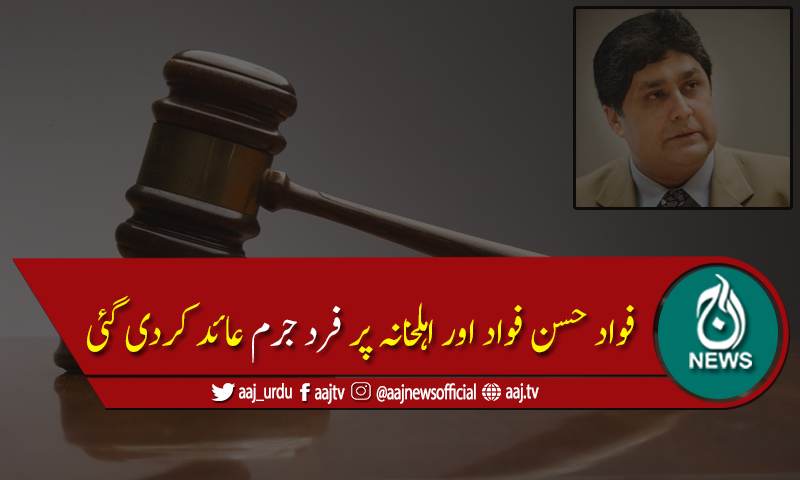 آمدن سےزائداثاثہ جات کیس :فواد حسن فواد اوراہلخانہ پر فرد جرم عائد