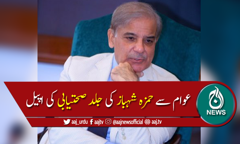 حمزہ نیب نیازی گٹھ جوڑ کا جراتمندی سے مقابلہ کر رہےہیں،شہباز شریف
