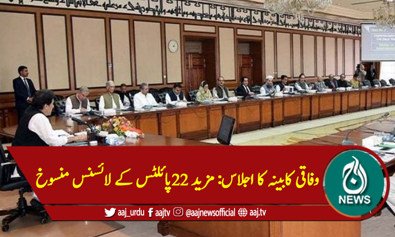 وفاقی کابینہ کا اجلاس: مزید 22پائلٹس کے لائسنس منسوخ