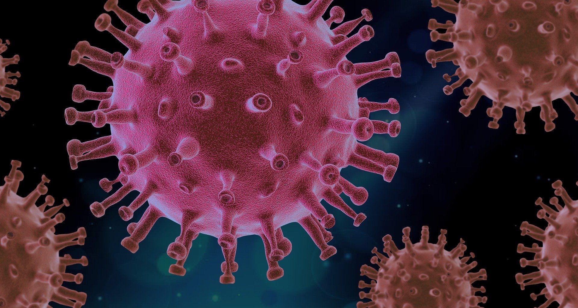 Pakistan witnesses sharp downturn in coronavirus deaths